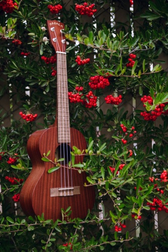 KALA MK-S Makala Soprano Ukulele фото 6