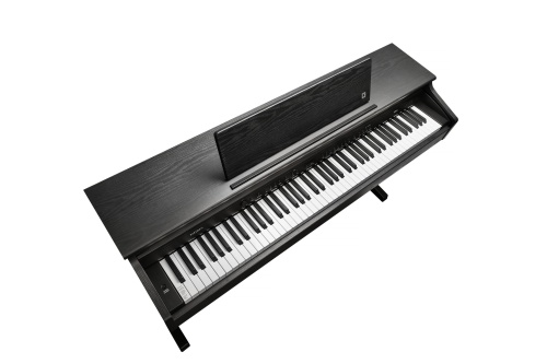 Kurzweil CUP E1 BK фото 4